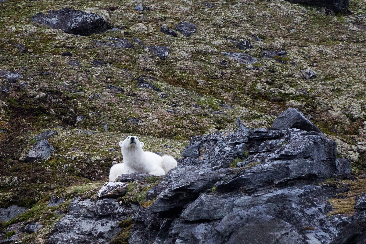 Чую дух человеческий