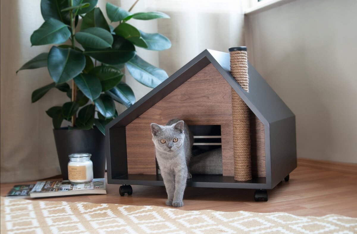 Фото Яндекс. Картинки.