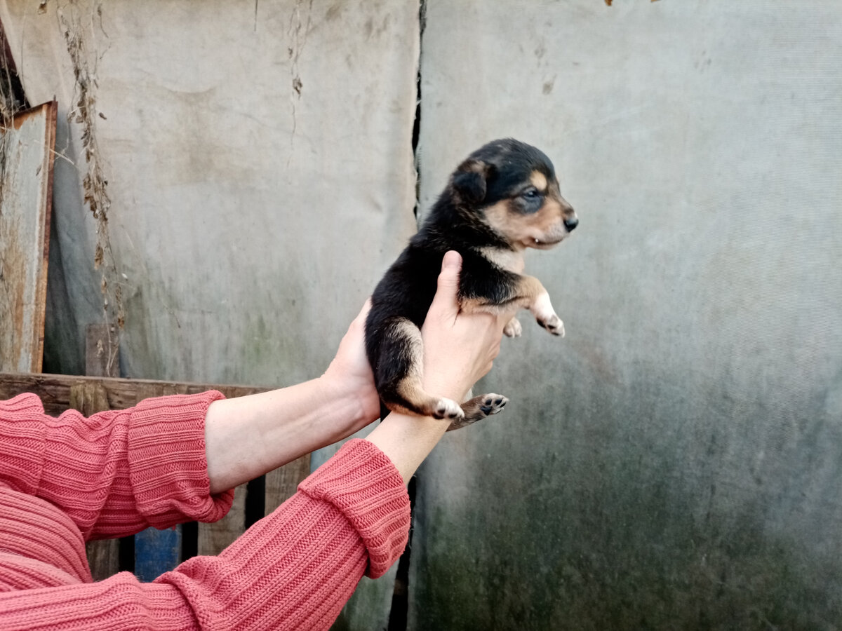 Фото из личного архива