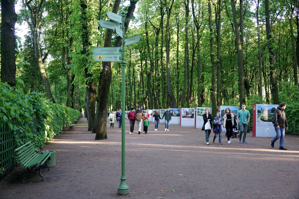 Аллеи Летнего сада. Фото автора.