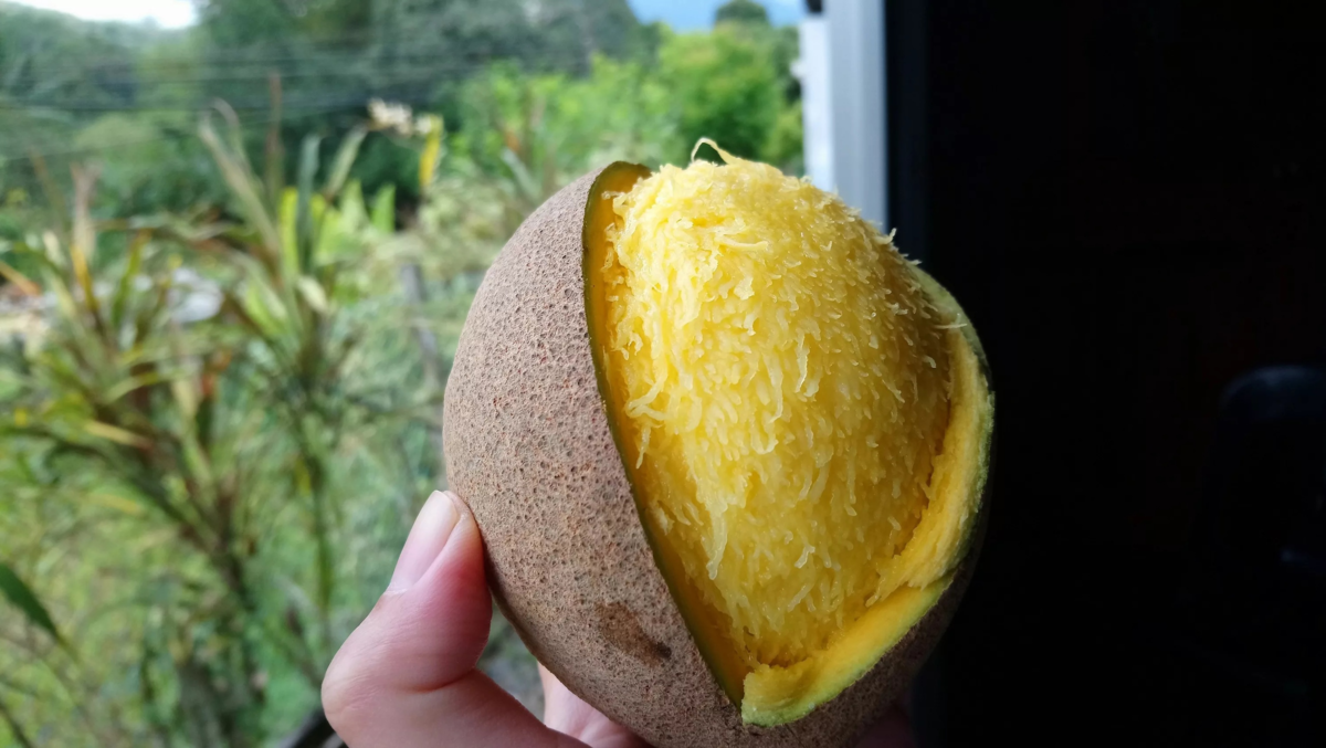 Позовите шеф-повара, у меня суп с волосами!! 