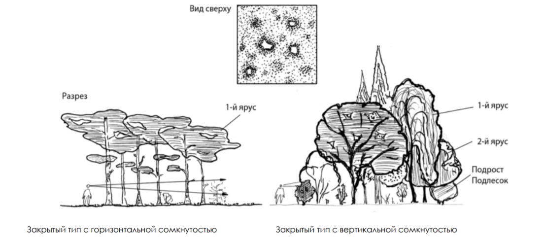 Пространственная структура ландшафтов