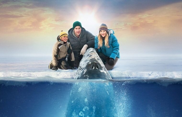 Все любят китов