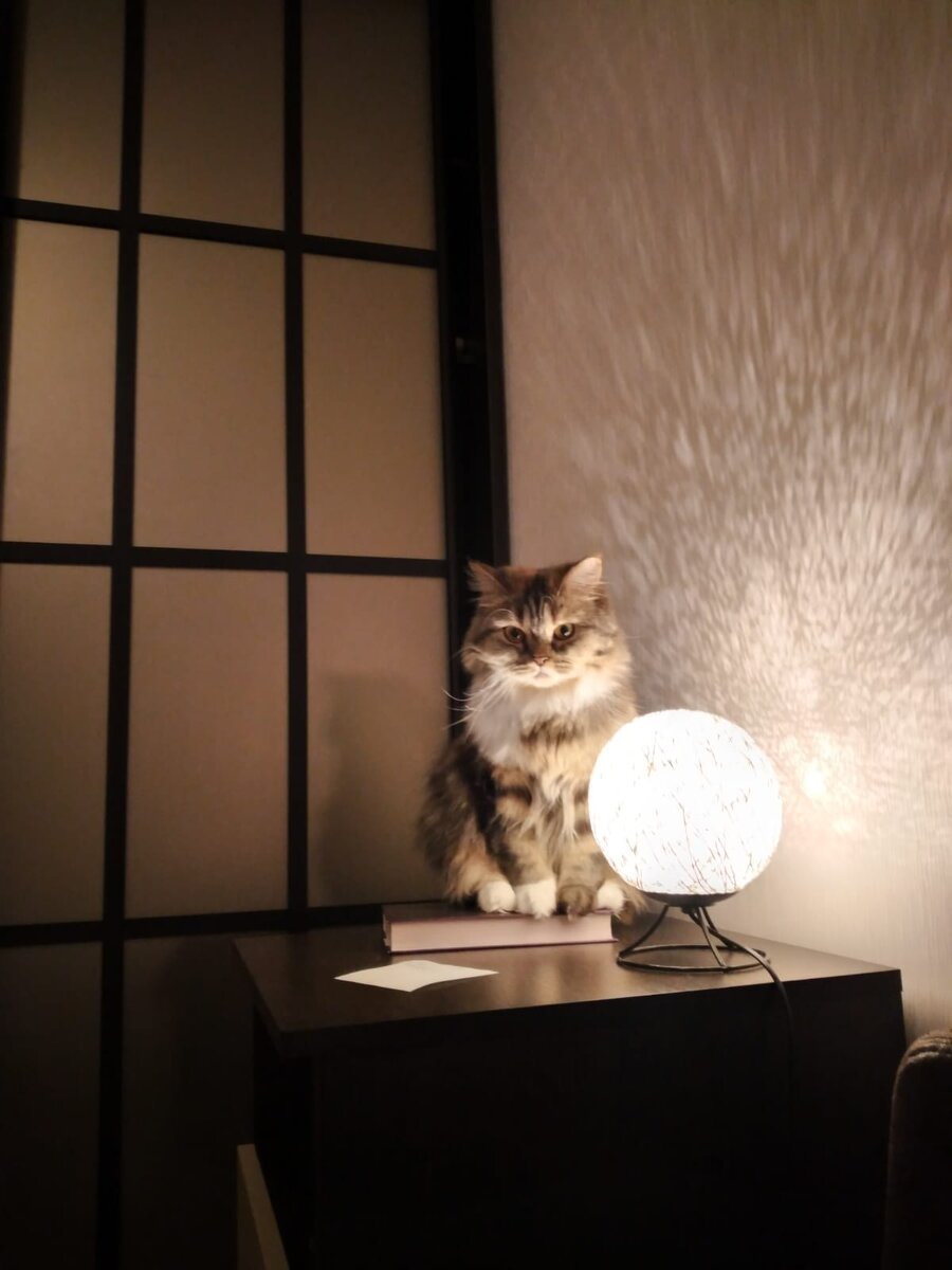 И это все дивиденды? грустно...