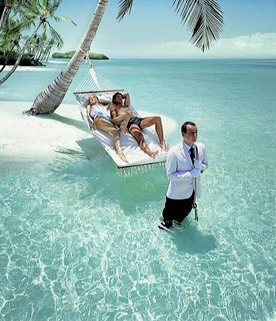 Изображение - интернет.