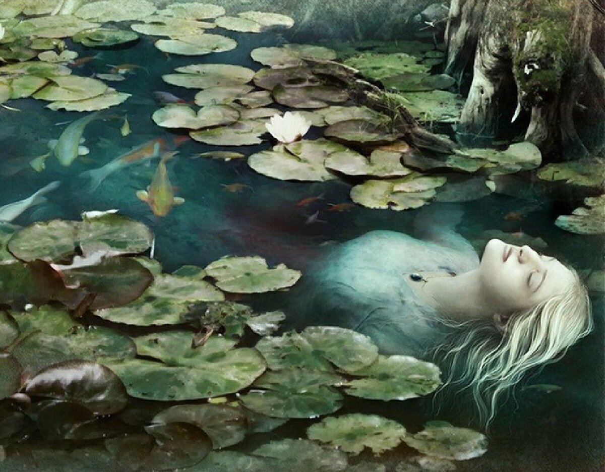 фото с просторов интернета