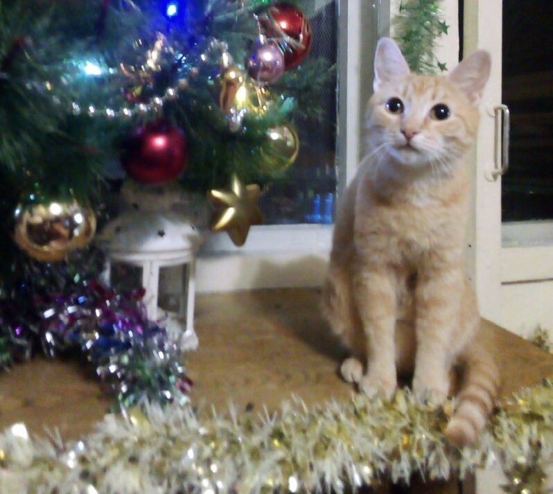 фото из архива автора