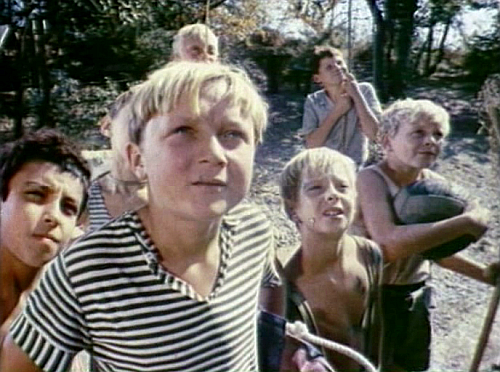 "Дубравка. выходи! Пошли в футбол играть!"