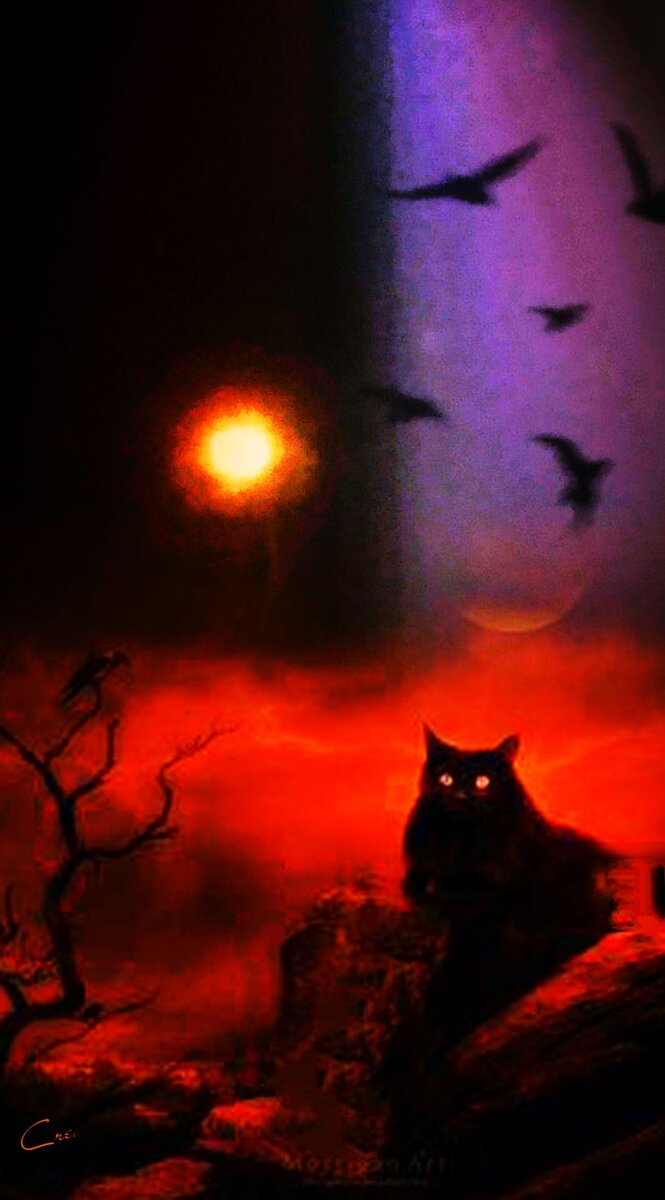 Фотоколлаж автора статьи