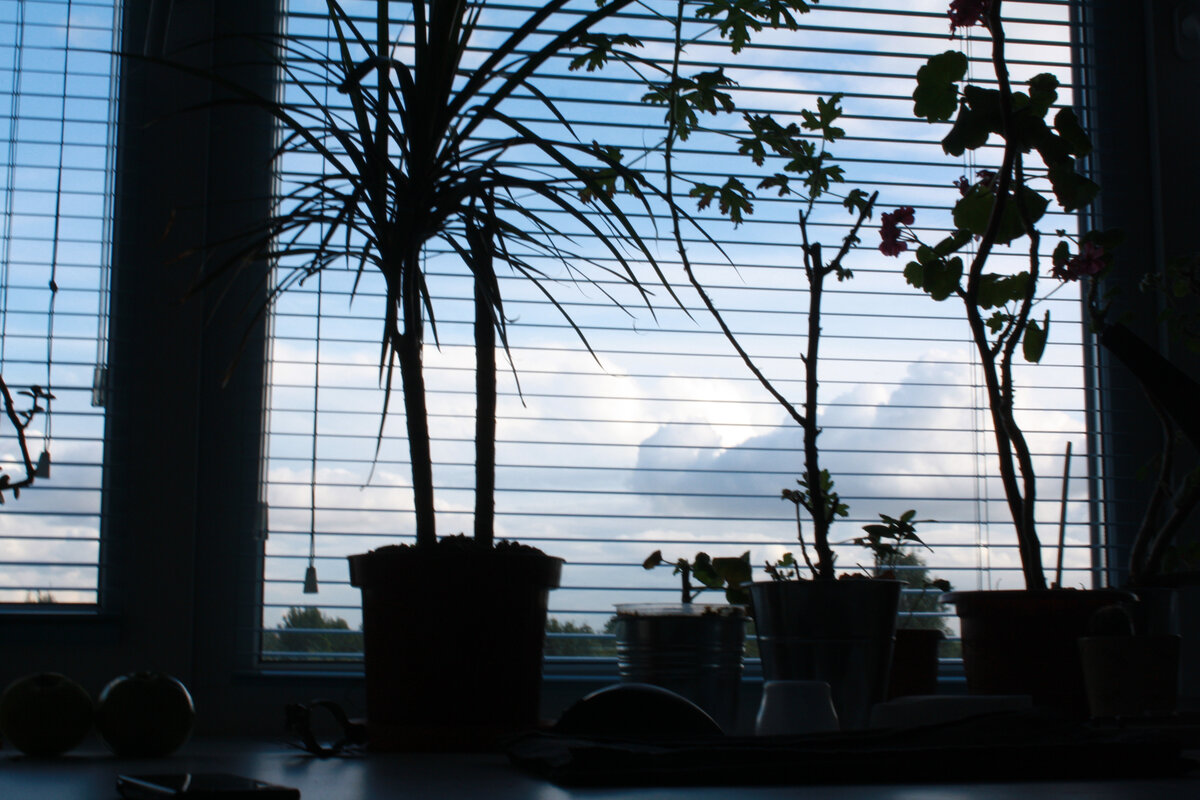 Вид из окна в нашей первой квартире с бывшей женой...