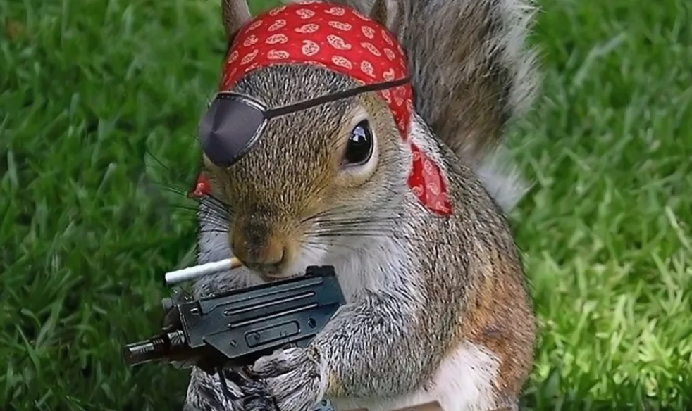 Я ВАМ ПОКАЖУ, В ГЛАЗ МНЕ СТРЕЛЯТЬ ... https://pix.playground.ru/other/537798/