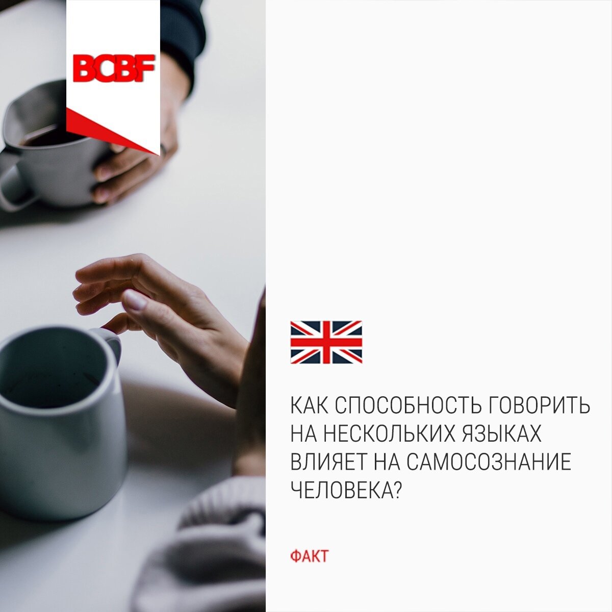 Владеет несколькими языками