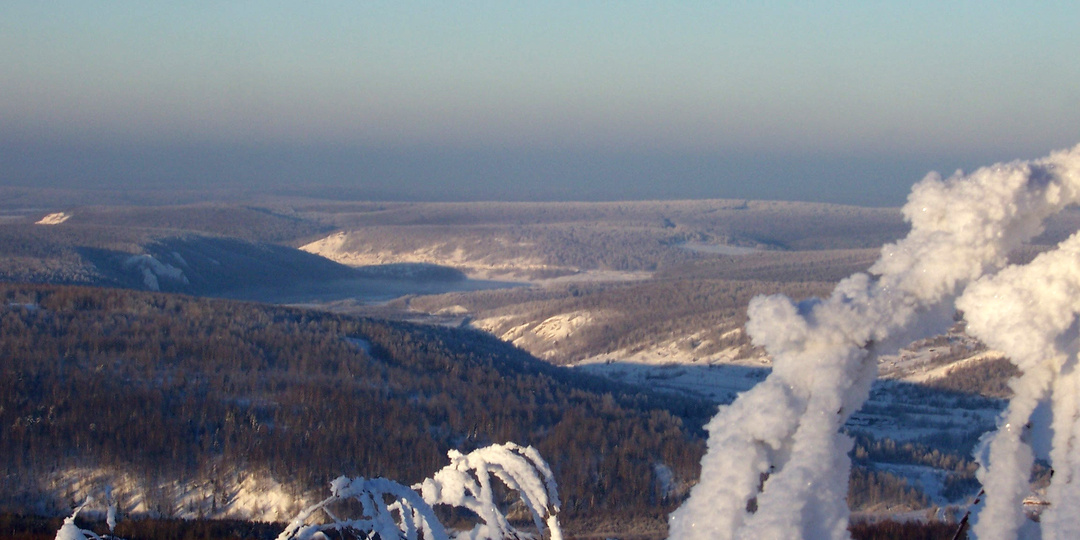 Заготовка лосиного мяса. Курьезы.