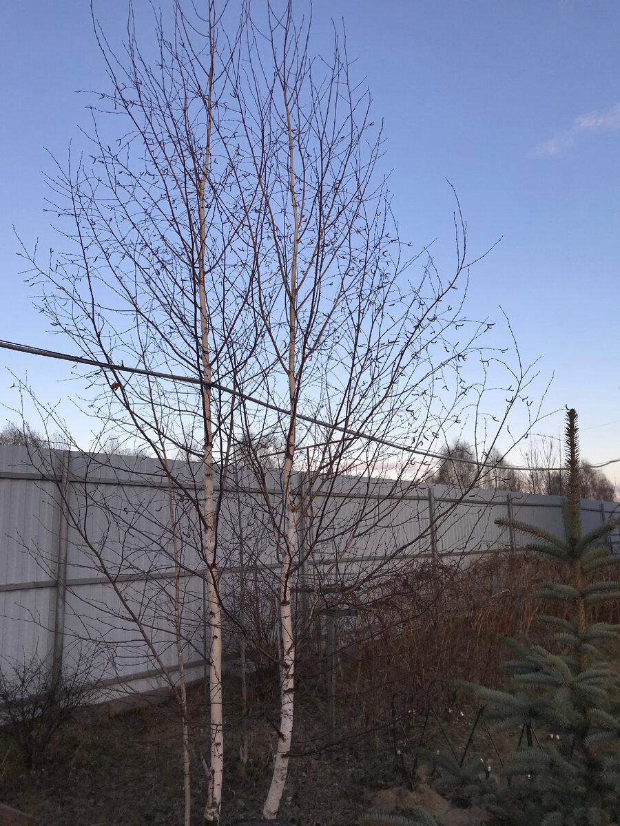 Вечерний пейзаж..)