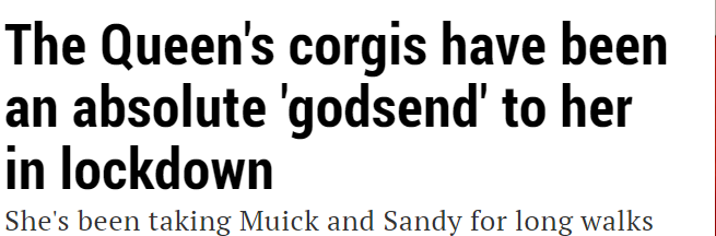 Пишут, что новые корлевские корги стали для королевы настоящим благословением (godsend - как будто бог послал от чистого сердца). Она их двоих весь локдаун выводила на дрлгие прогулки.