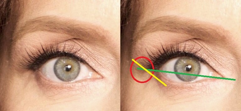 Показала схематично