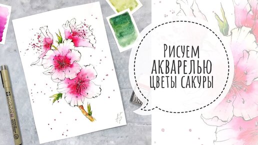 Рисуем АКВАРЕЛЬЮ цветы сакуры | скетч за 30 минут