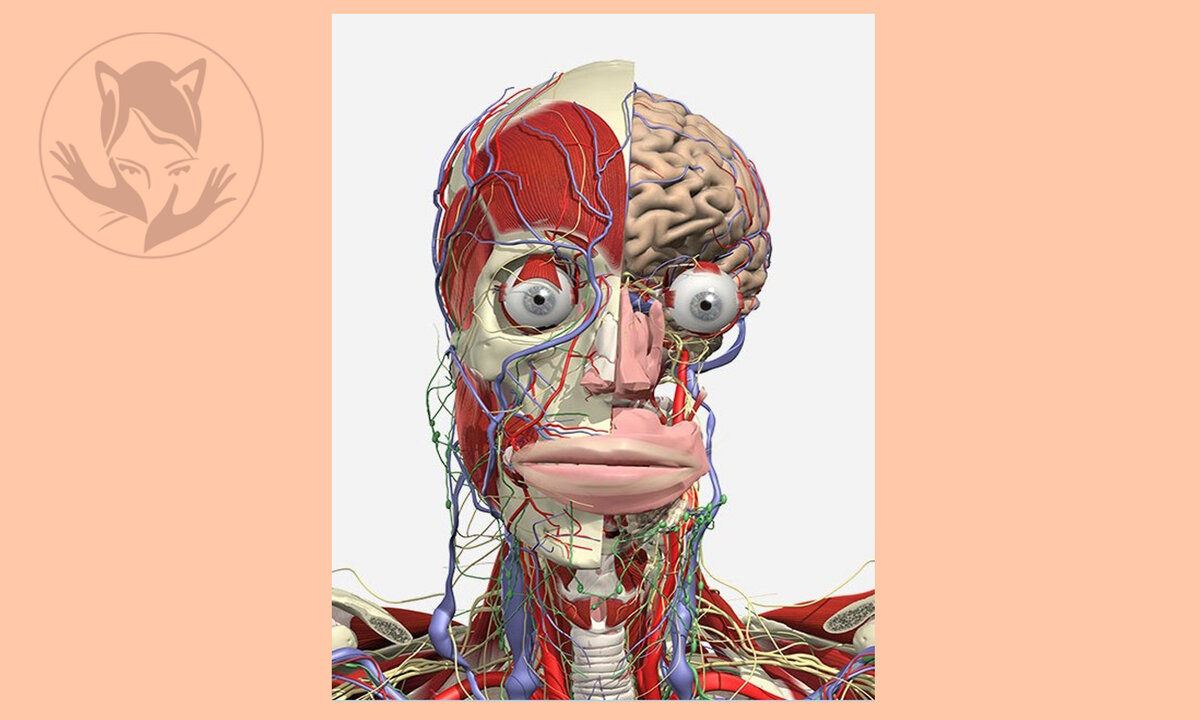 Из личного сборника фотографий