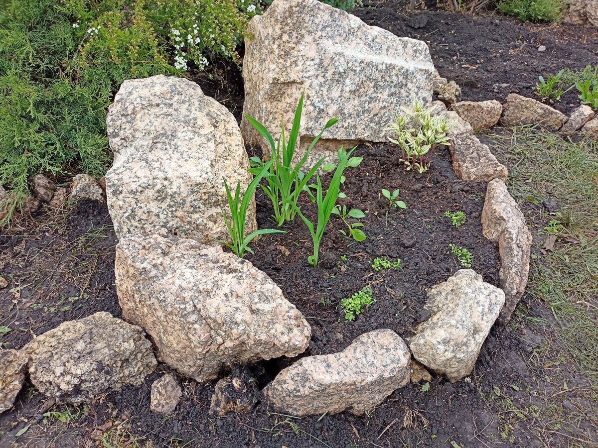 Альпийская горка с пёстрыми природными камнями