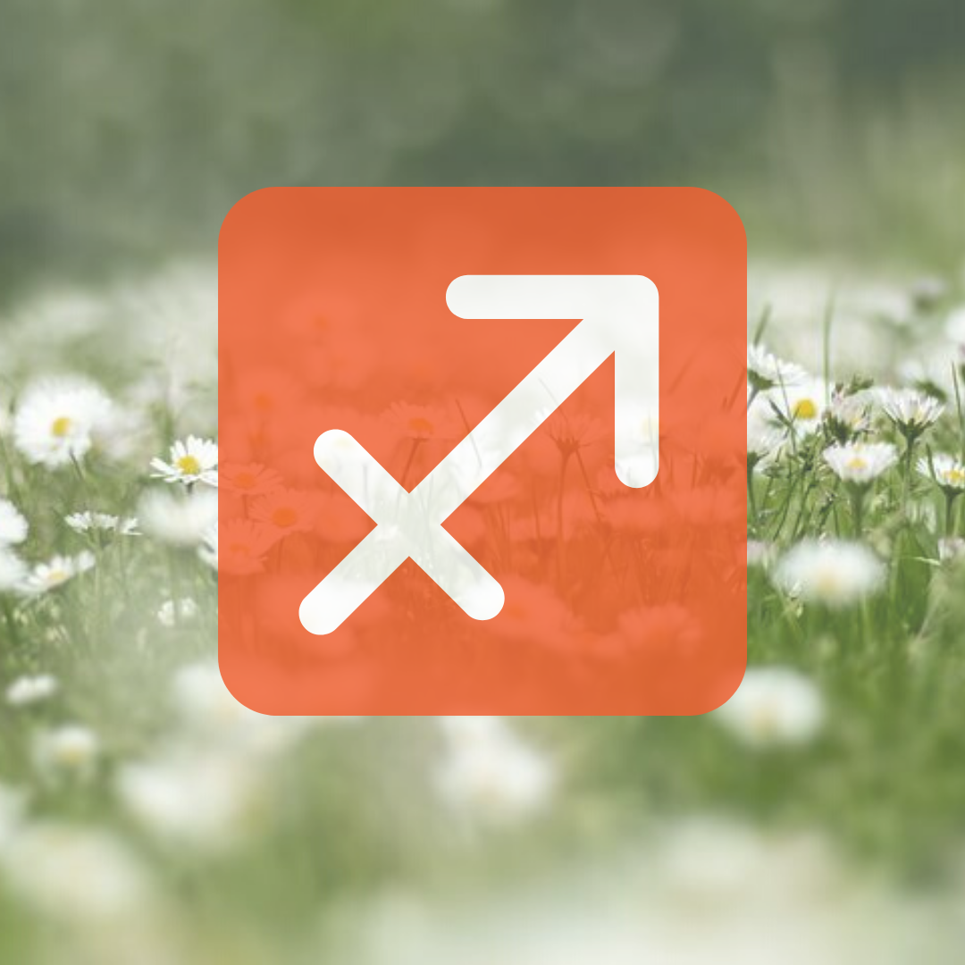 яндекс-картинки