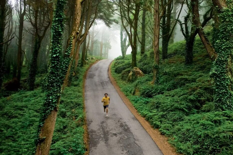 Serra de Sintra