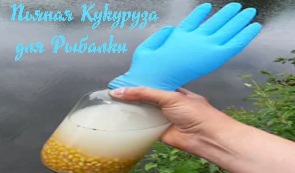 Пьяная кукуруза для рыбалки своими руками рецепт с фото