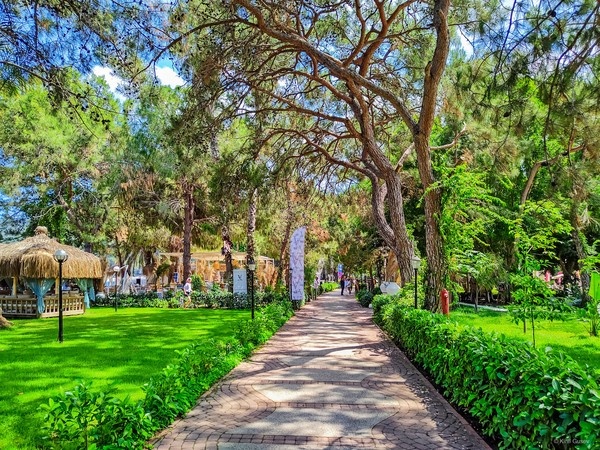 И в своей обыденности мир вокруг порой бывает невероятно поразительным,  если конечно ты не поглощён всецело своими давно ставшими постоянными и  совершенно неотложными делами ) ...   

Лунный парк, Кемер, Турция ...   

  