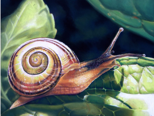 Скорость улитки https://www.artworkarchive.com/profile/hope-martin