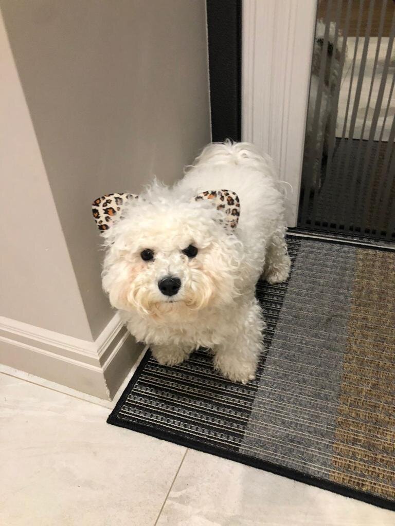 Моя подруга Авва