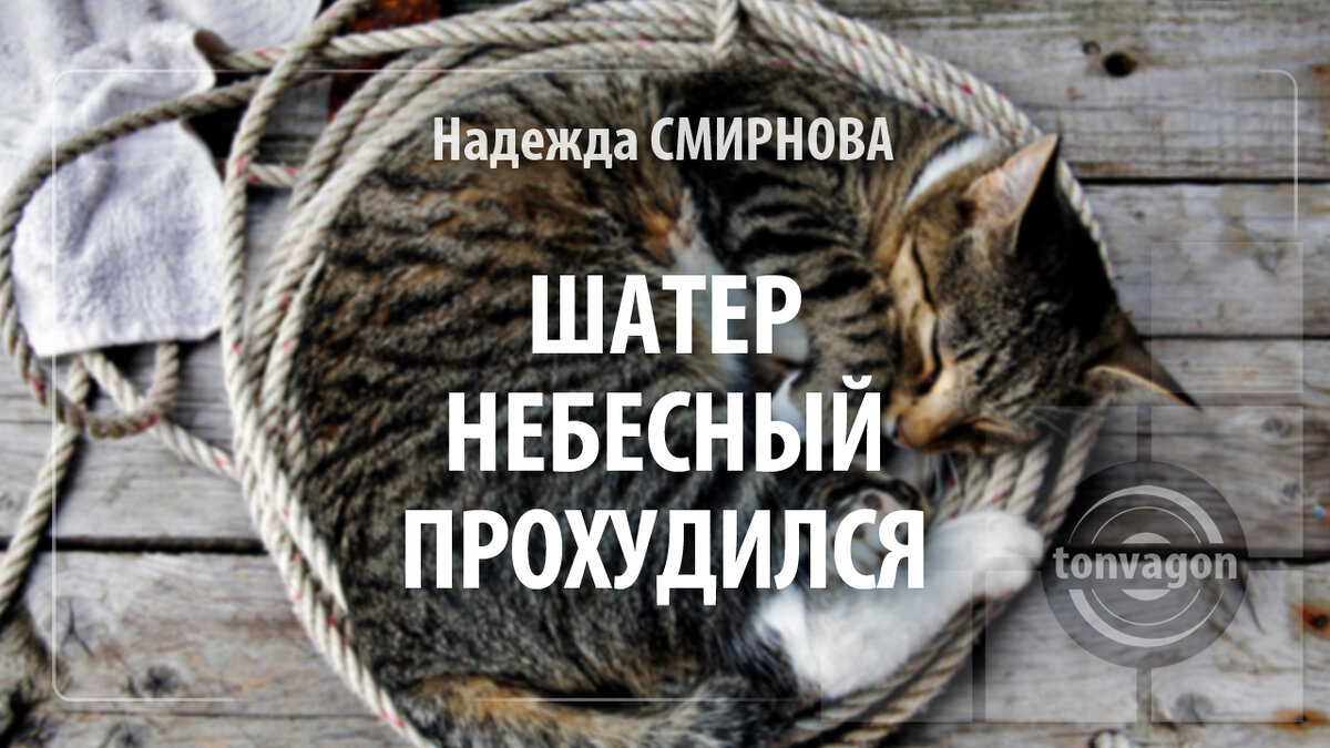 Стихотворение участвовало в конкурсе проекта ТОН-ВАГОН