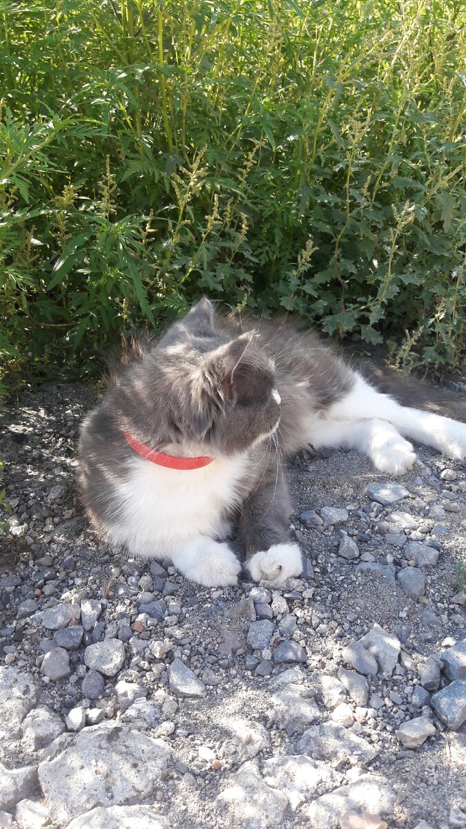 Еще утром тепло и солнечно.

