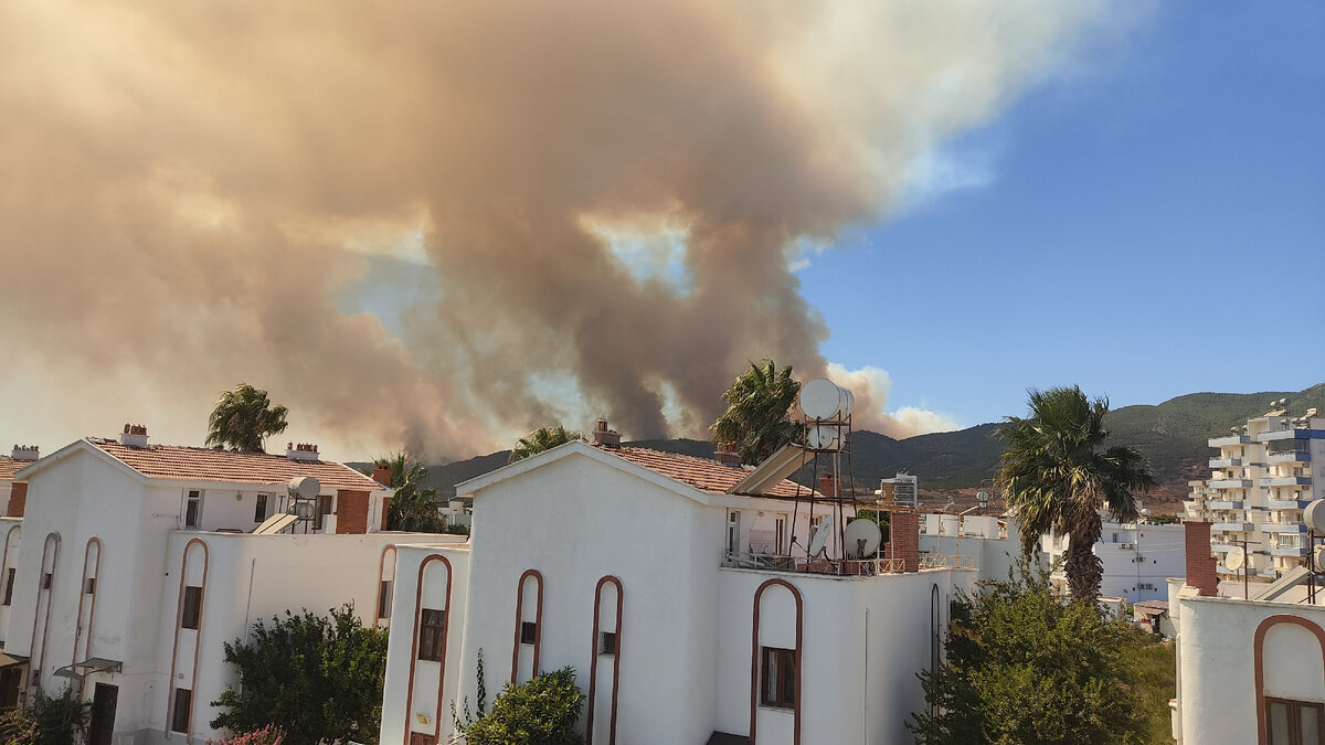 Вид с балкона 