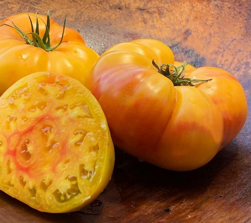 Фото с сайта mavink.com