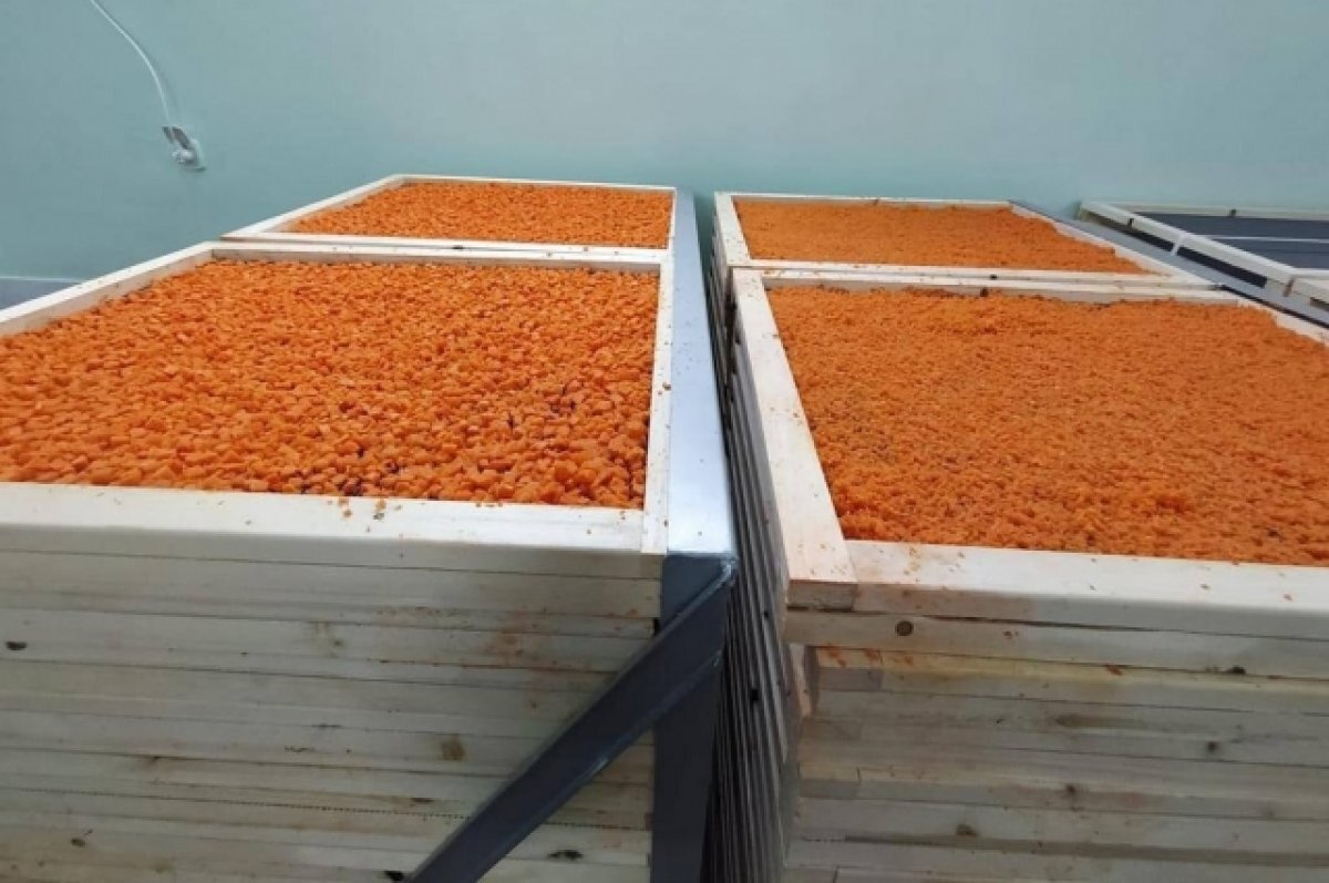    Алексей Мокеев отправил мобилизованным сушеную свеклу, морковь и капусту