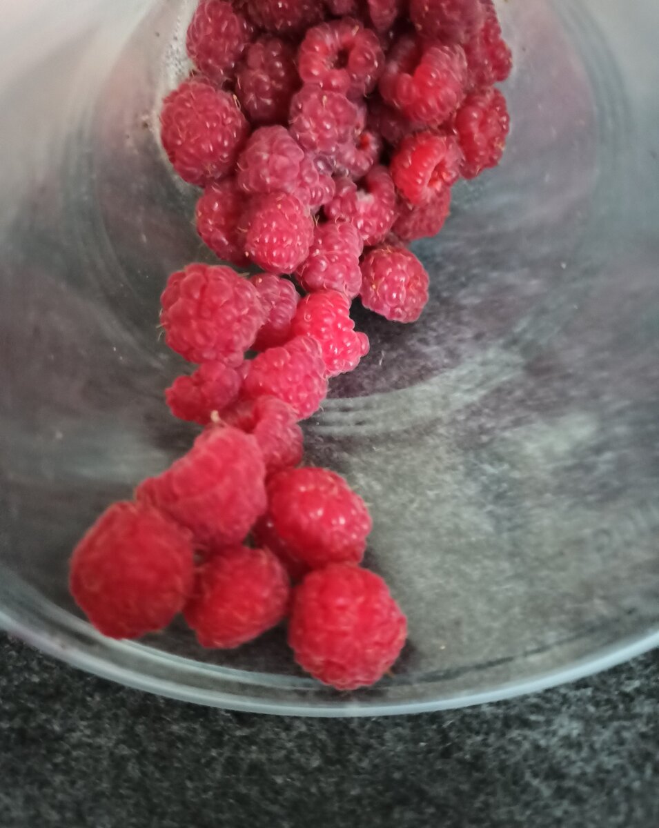 фото собственное.