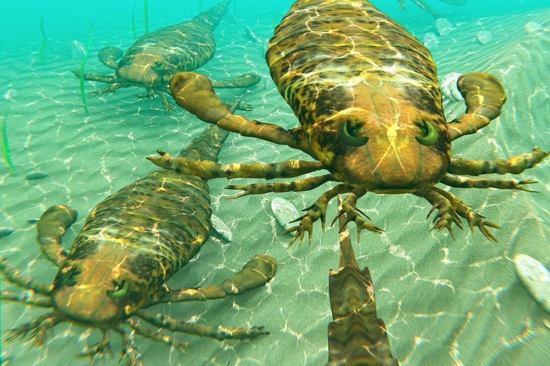 Плывут на разборки с дунклеостоем.