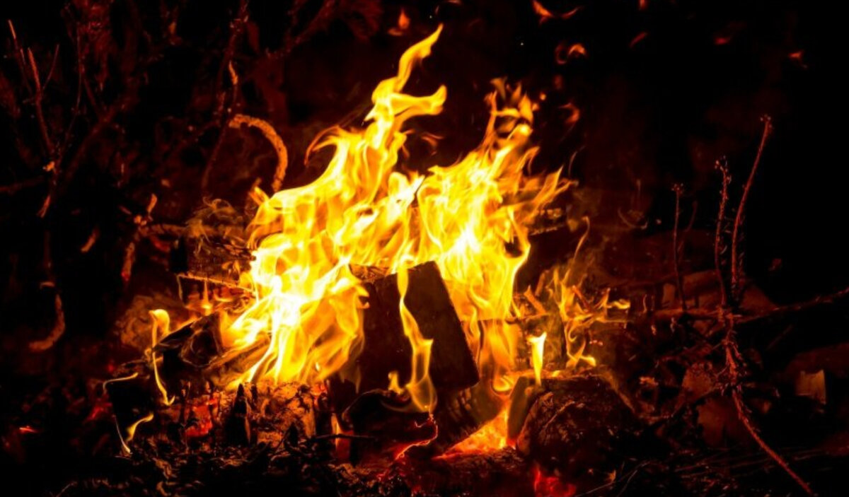 Источник https://m.rus.delfi.ee/article.php?id=86068977