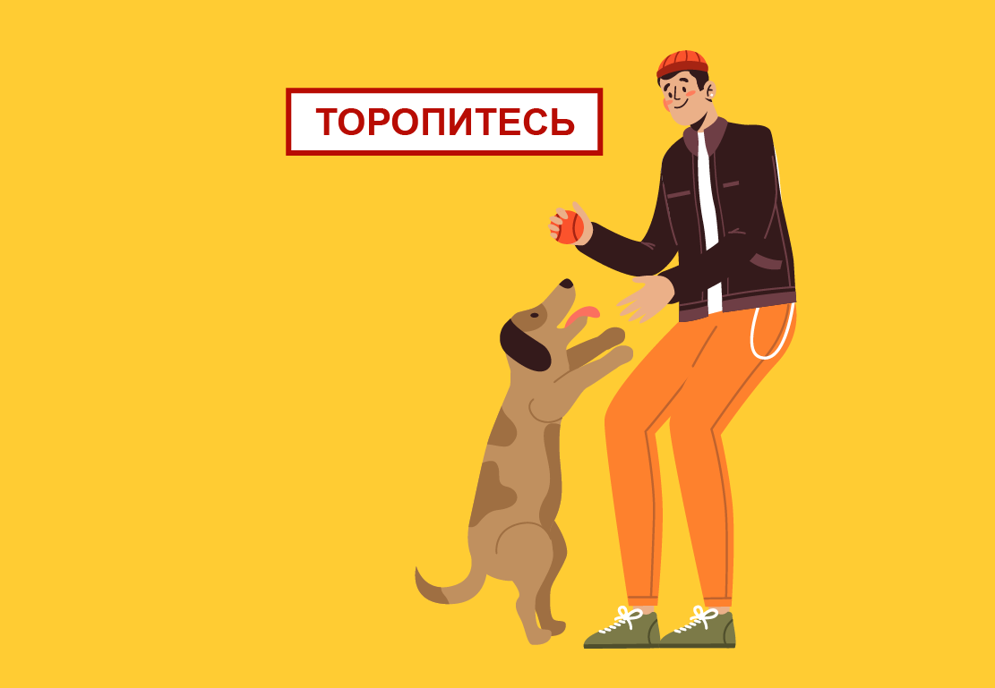 Изображение: Freepik.com