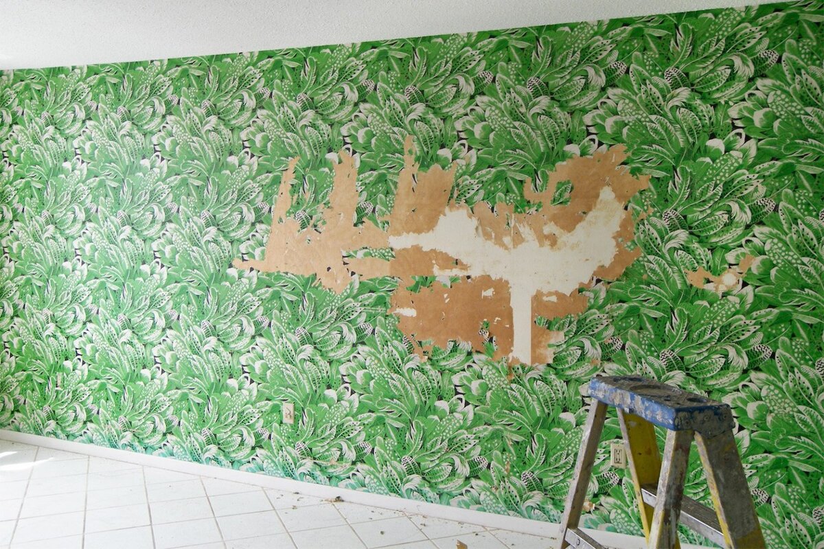 фото взято из открытых источников