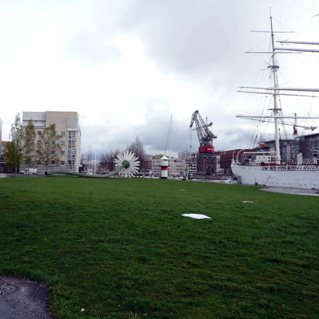 Финляндия город Турку ромашка "Daisy"