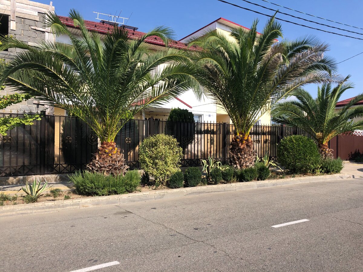 Улицы ПГТ Сириус