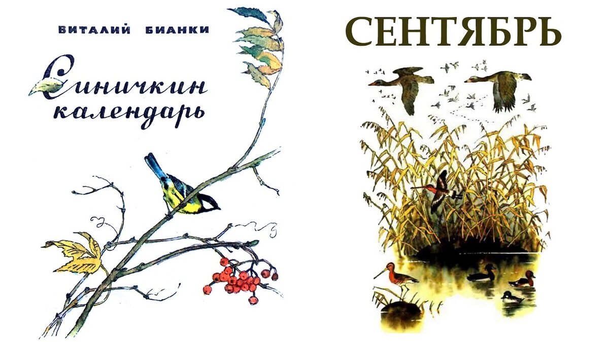 Природа для детей в рассказах Бианки | Городская дачница. История девчонки  из большого города, которая любит дачу | Дзен