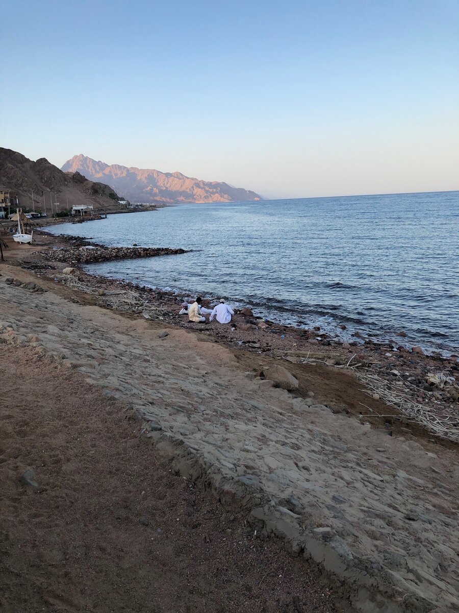 Берег Красного моря