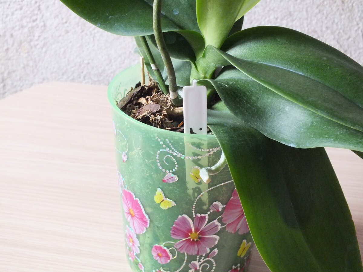 Участник эксперимента