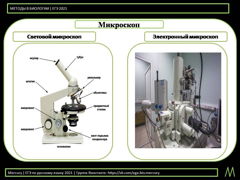 Чем цифровой микроскоп отличается от светового кратко