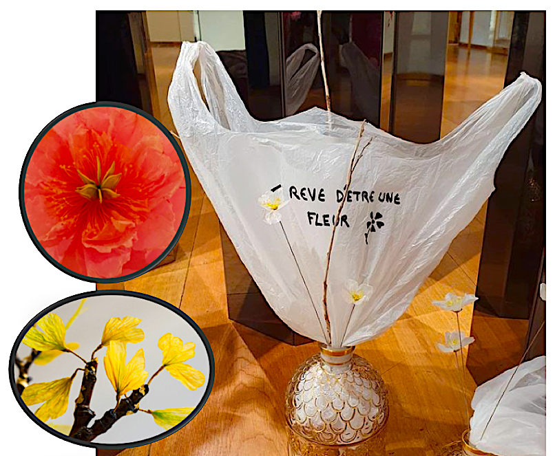 Надпись на пластиковом пакете - "Мечтаю быть цветком" . Инсталляция William Amor.  