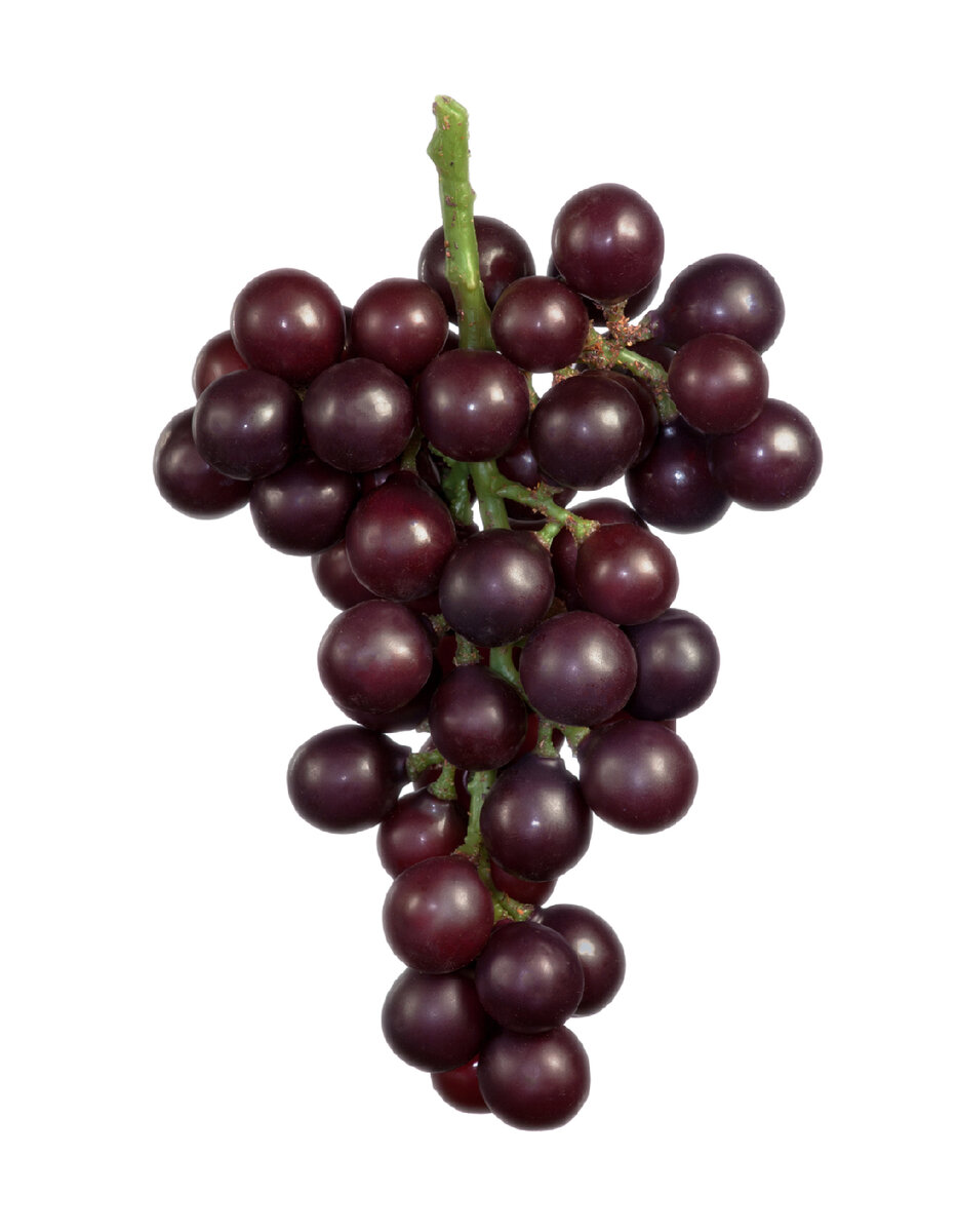 Искусственный виноград Treez Collection