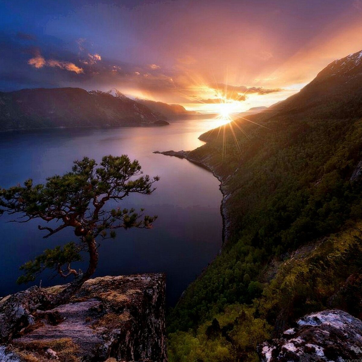 (фото в свободном доступе в интернете) 