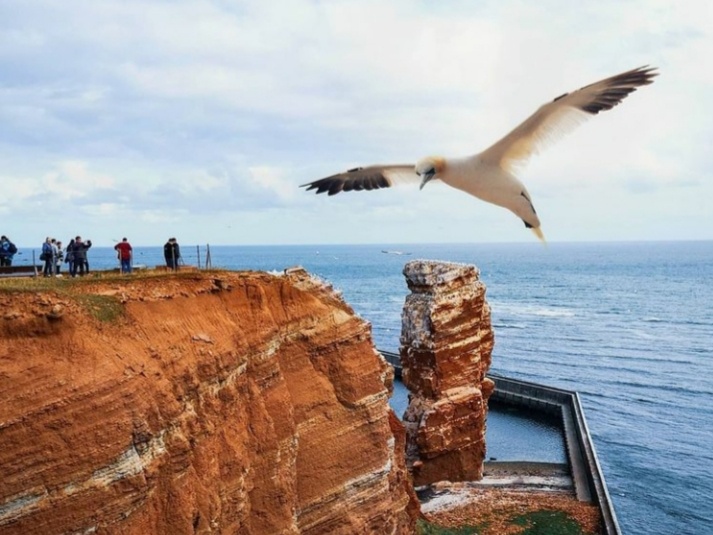 Оригинал фото на pinterest.com