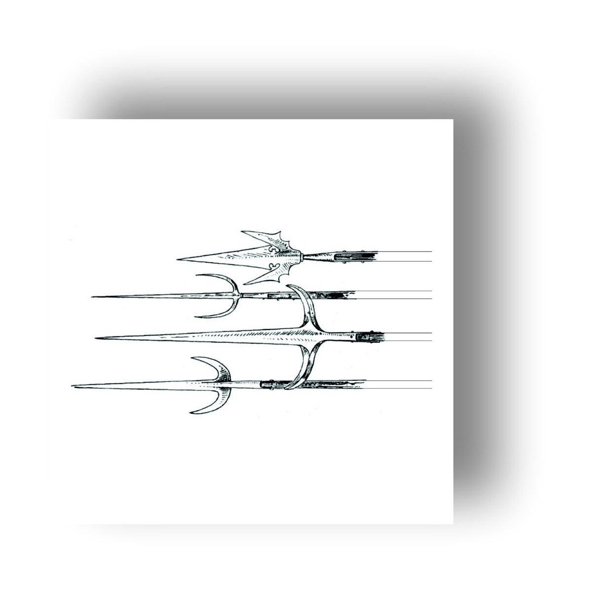 Рунки разных видов